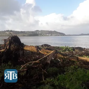 Après la tempête au Seillou.